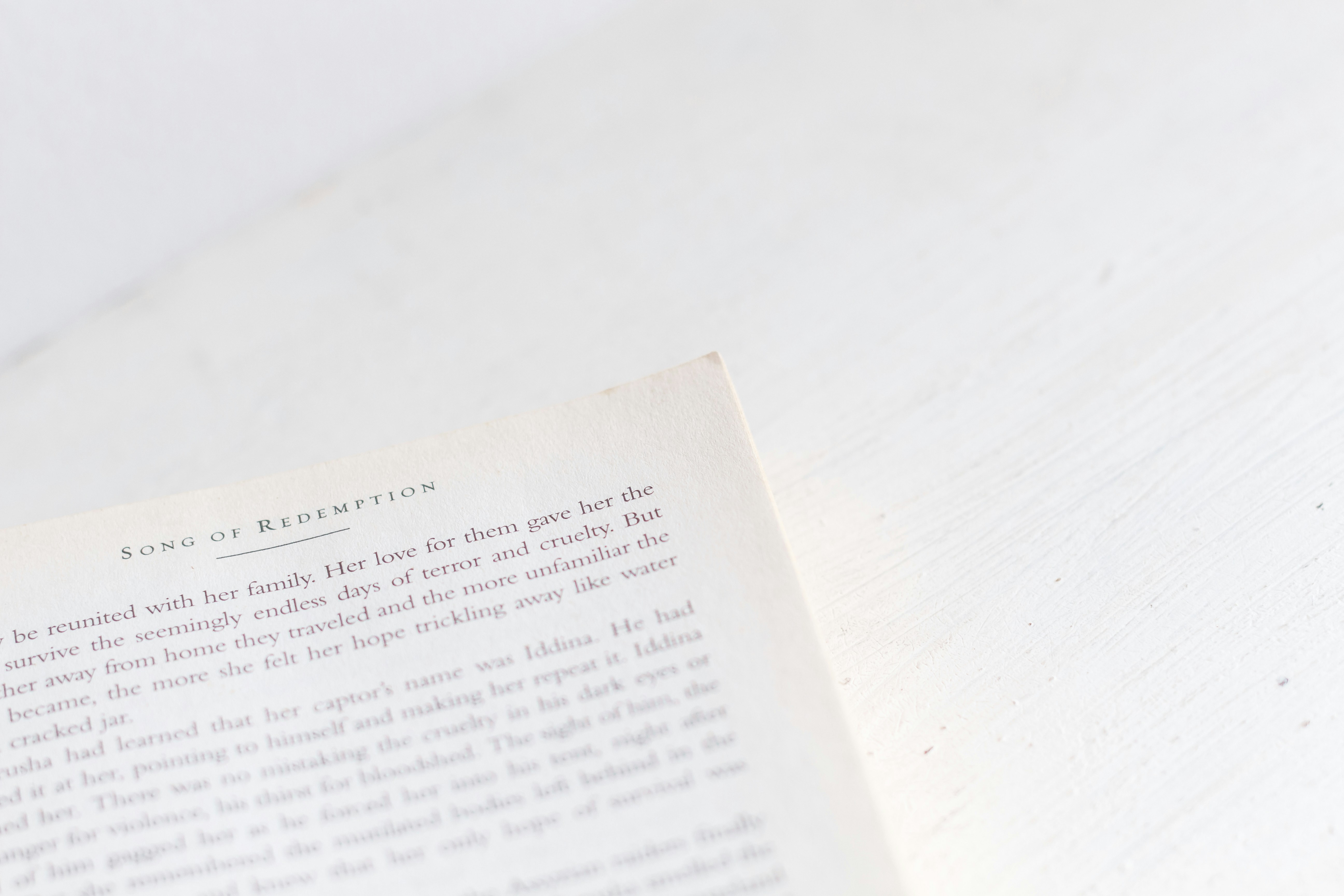 静かなカフェで、温かい飲み物を片手に書評ブログを読んでいる女性の後ろ姿