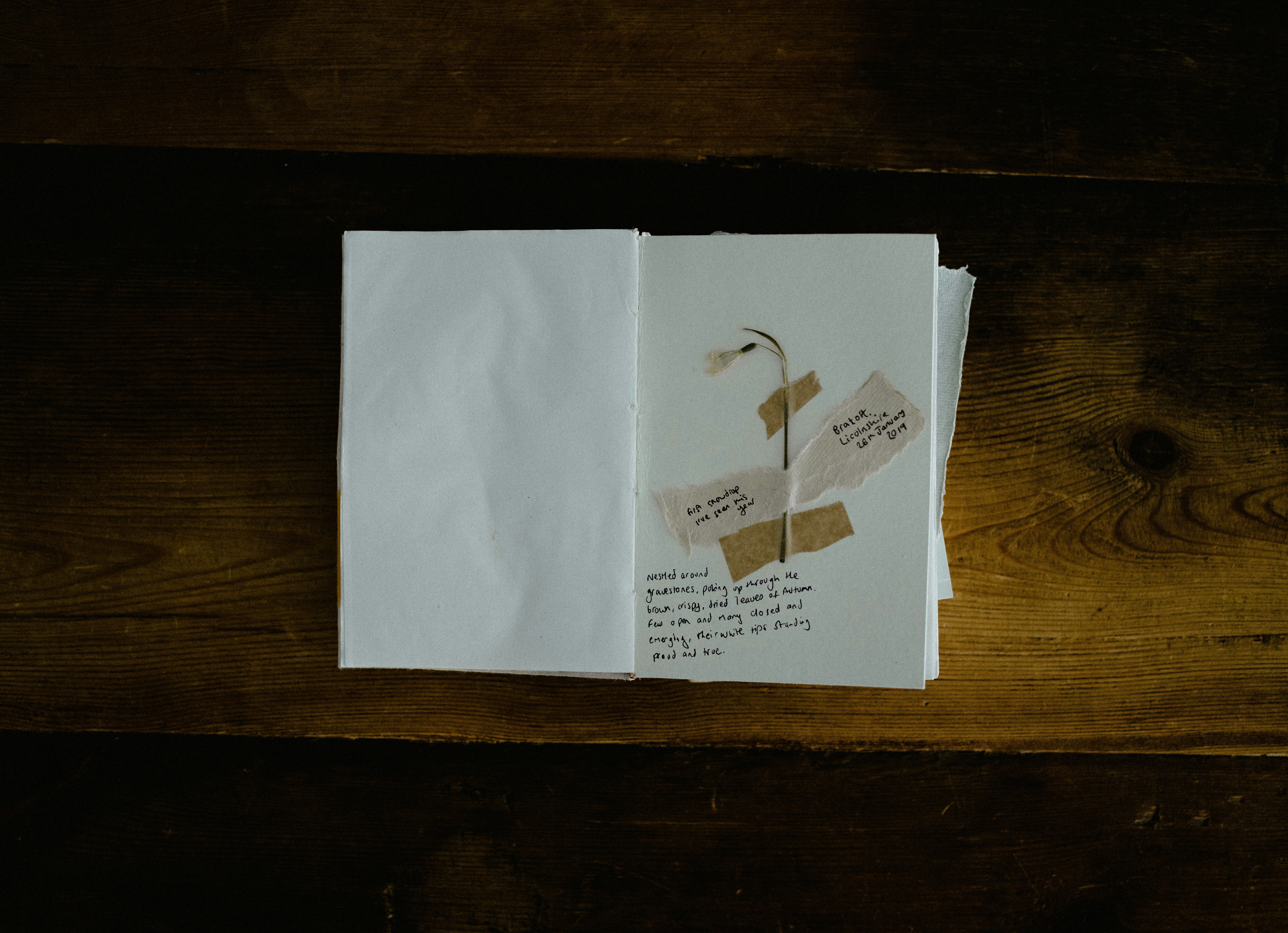 おすすめ本の表紙3冊を並べて撮影した写真