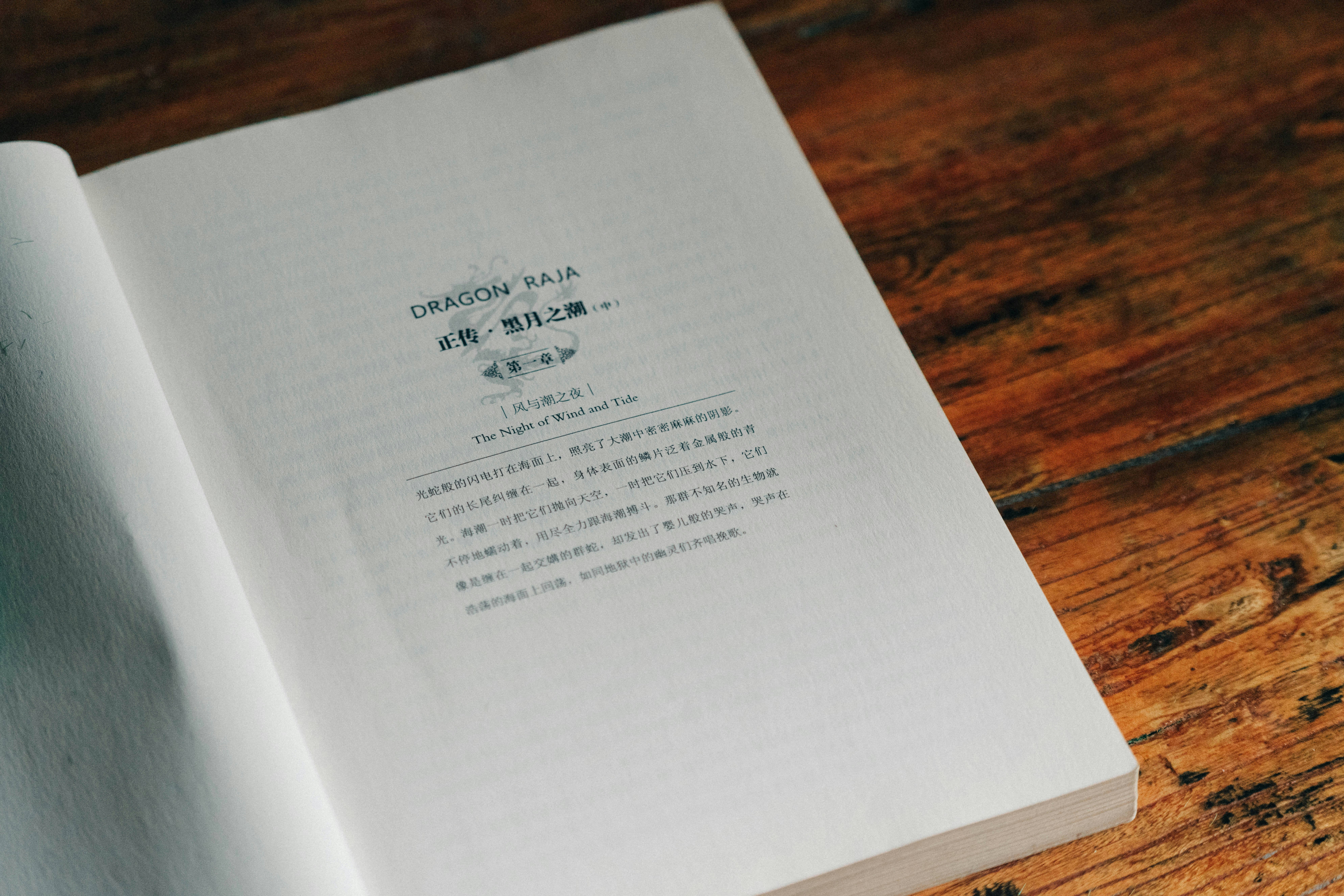 カフェで本を読んでいる女性