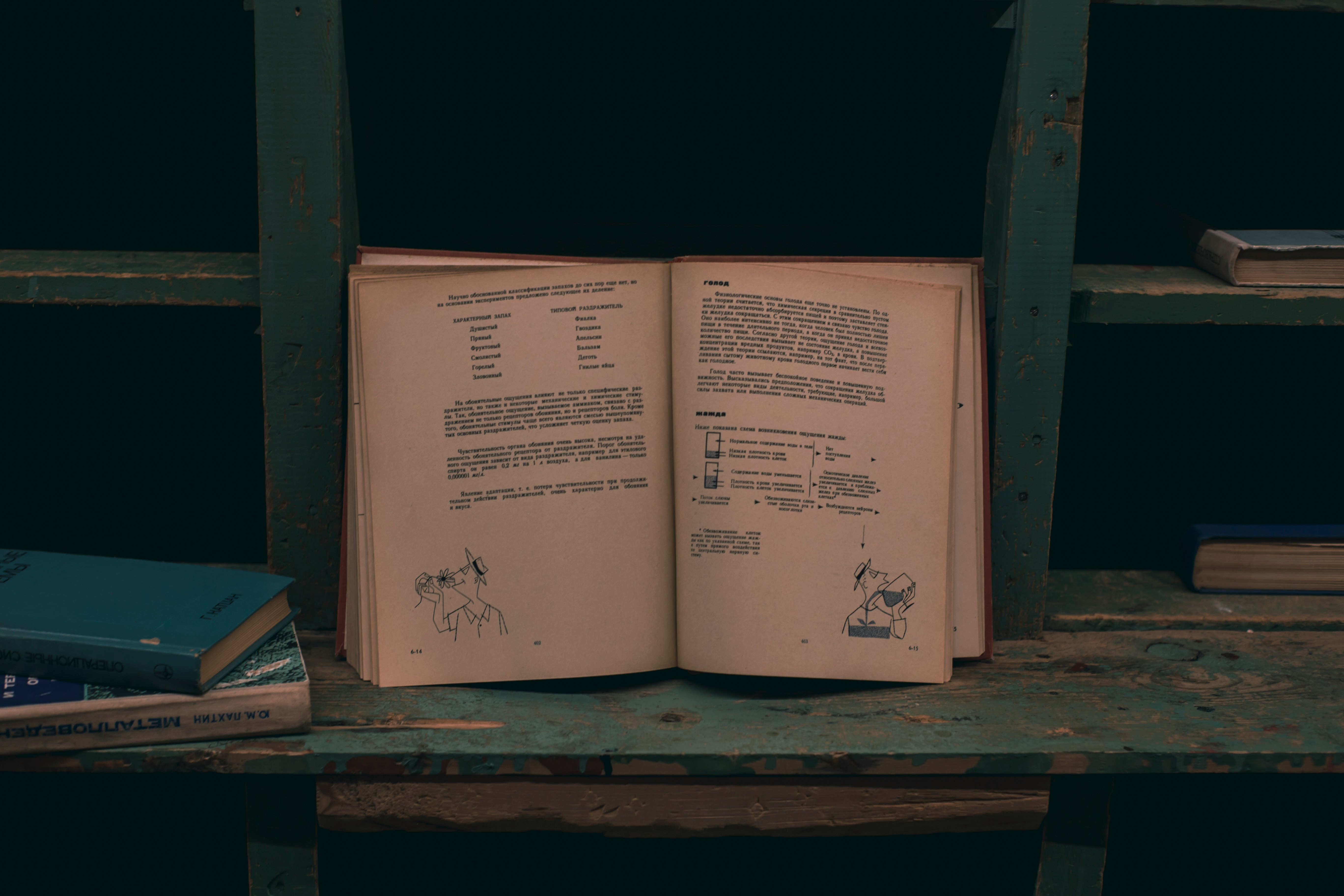 温かい照明の下、お気に入りの椅子に座って読書を楽しむ人の後ろ姿