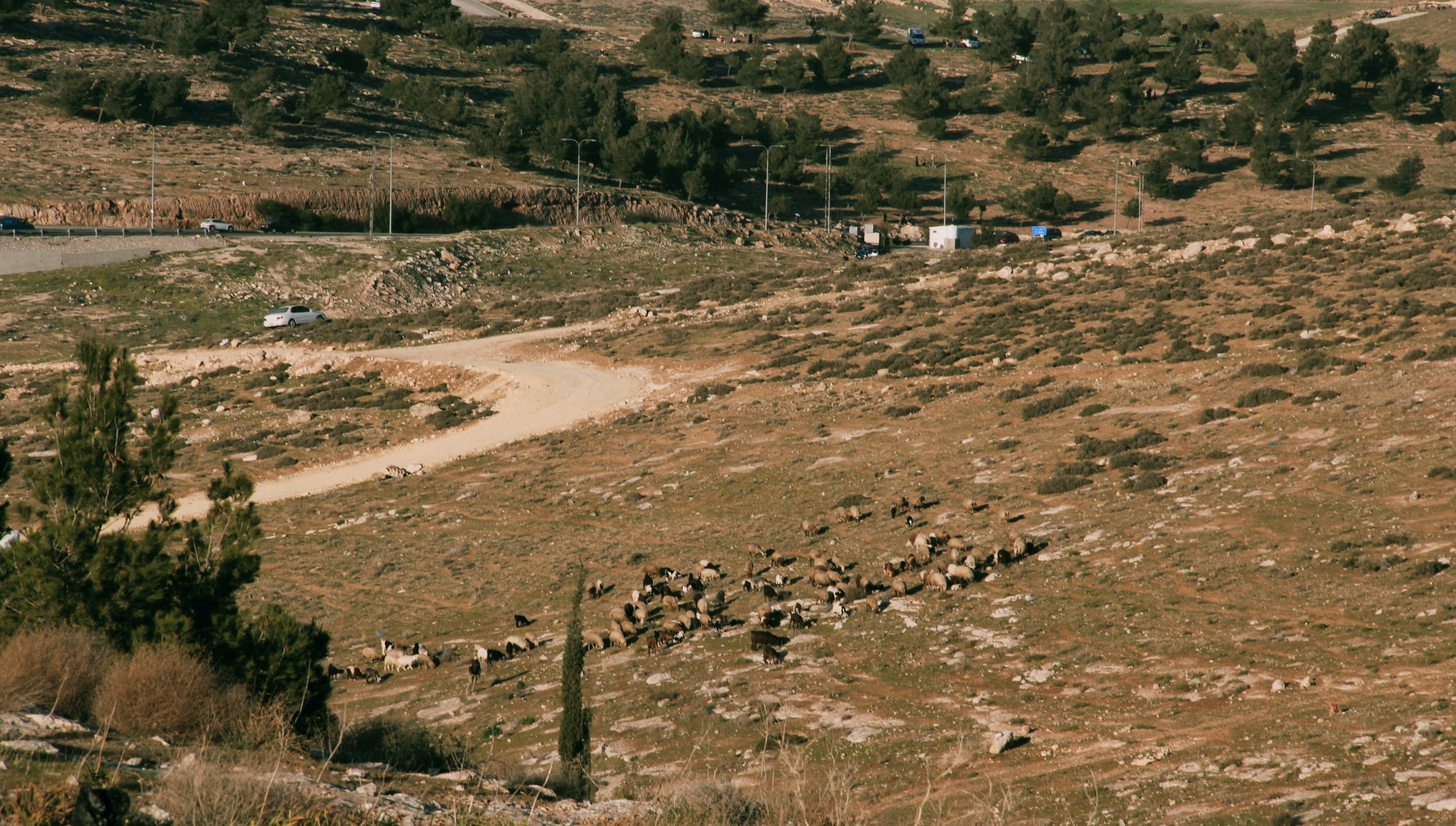 アニメの聖地巡礼マップと、現地の観光案内所のパンフレット