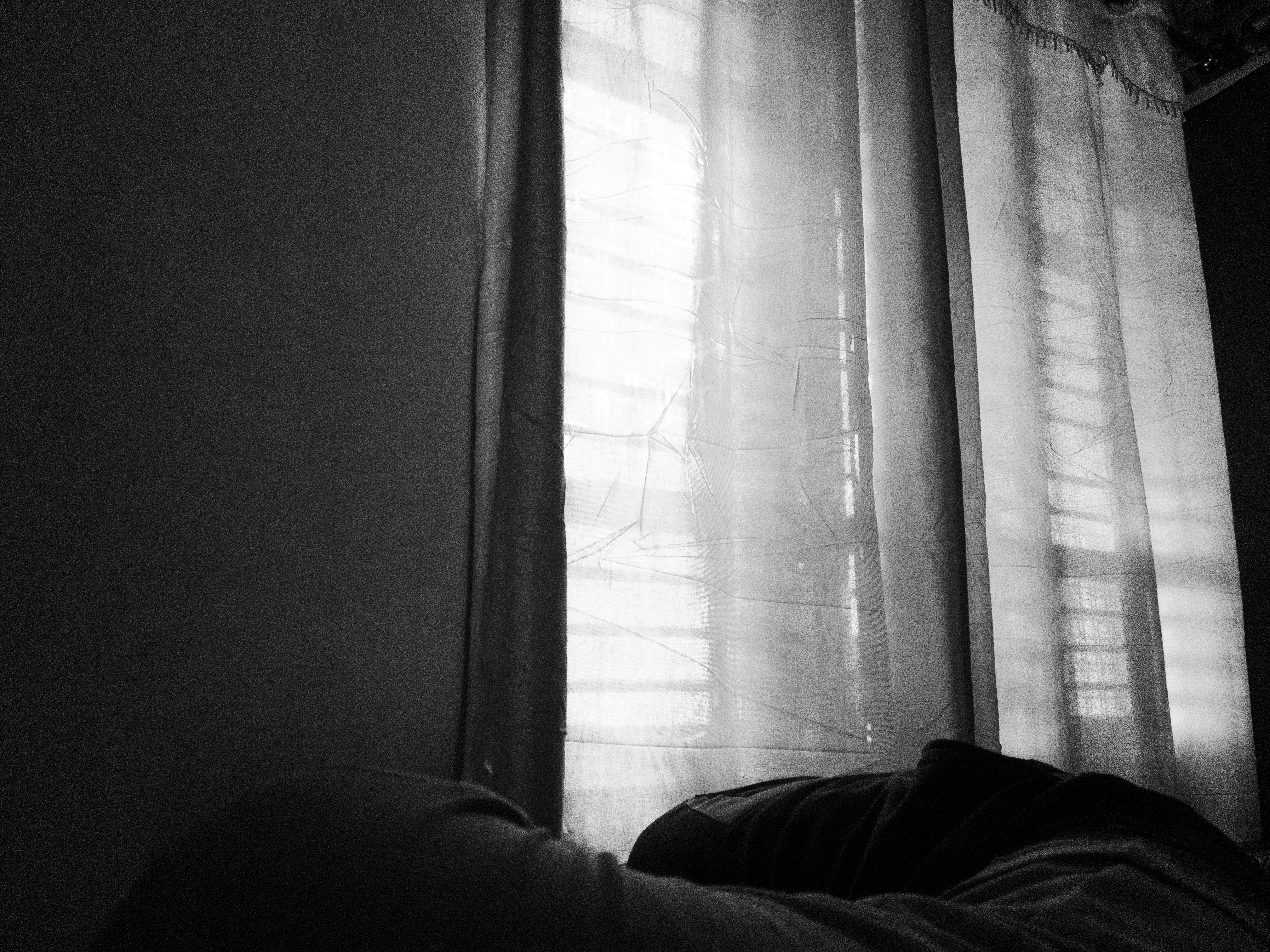 青空の下、研究者が笑顔で研究成果を発表している様子